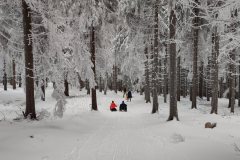 IMG_20230122_151500