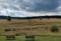 IMG_20220904_122029