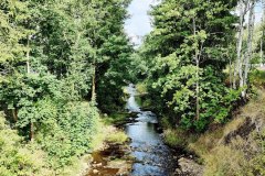 IMG_20220806_100603